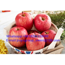 Shandong Origin New Crop FUJI Apple Food Grade